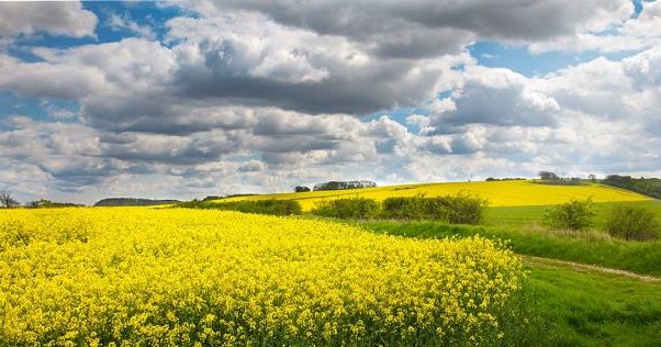 Coraz więcej unijnych obywateli docenia żywność ekologiczną /&copy;123RF/PICSEL