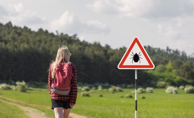 Coraz większa liczba zakażonych boreliozą na Dolnym Śląsku