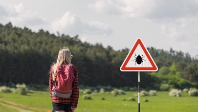Coraz większa liczba zakażonych boreliozą na Dolnym Śląsku