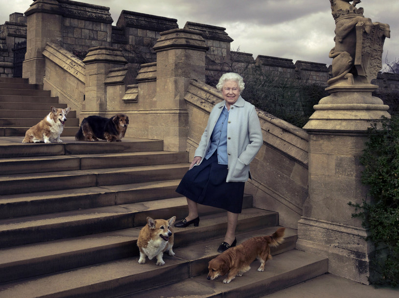 Corgi to dla królowej Elżbiety II szczególna rasa, od lat kocha te pieski /Photoshot/REPORTER /East News