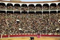 Corrida: walka na arenie w Madrycie /Encyklopedia Internautica