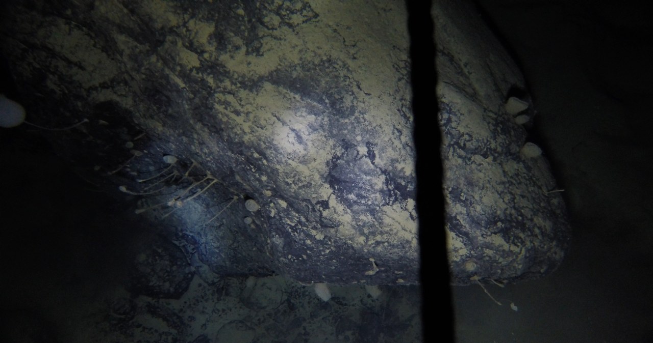 Coś czai się pod lodem Antarktyki