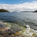 Coś niepokojącego dzieje się z wodą w Bałtyku. Po raz pierwszy od 1500 lat