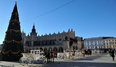 Coś nietypowego dzieje się z pogodą w Polsce. W grudniu ciepło jak w maju