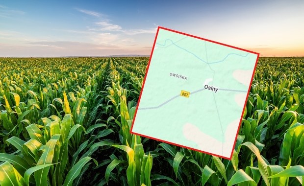 Coś spadło i eksplodowało na Lubelszczyźnie. Wybite szyby w oknach