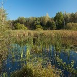 Coś złego dzieje się w Karkonoszach. Naturalny sposób na upały wysycha