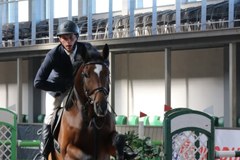 Cracovia Szary Equestrian Show