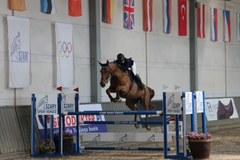 Cracovia Szary Equestrian Show