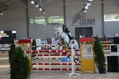 Cracovia Szary Equestrian Show