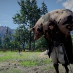 Crimson Desert z nowym rekordem graczy! Rośnie sprzedaż i liczba pozytywnych opinii