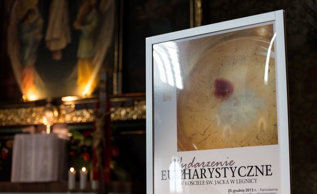 Cud eucharystyczny w Legnicy: Przebadano próbki hostii z Kościoła w Legnicy 