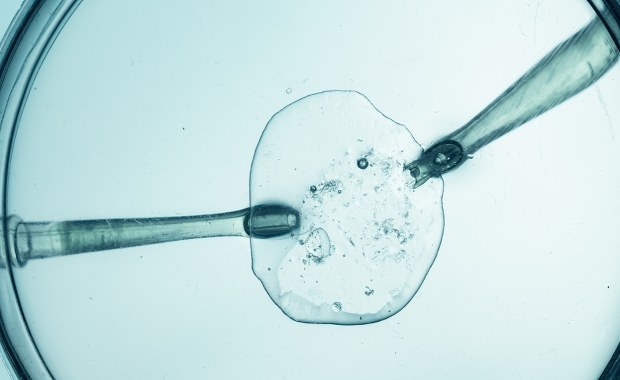 Cud narodzin po 30 latach. Chłopiec urodził się z najdłużej zamrożonego zarodka na świecie