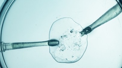 Cud narodzin po 30 latach. Chłopiec urodził się z najdłużej zamrożonego zarodka na świecie