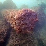 Cud starożytności wydobyty z głębin. Archeolodzy podali szczegóły