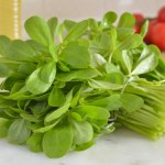 superfoods Cukrzycy i nadciśnieniowcy powinni ją jeść. Portulaka imponuje składem i wpływem na zdrowie