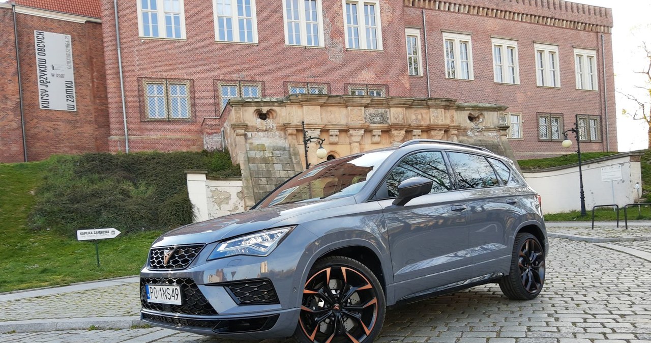 Cupra Ateca Limited Editon /INTERIA.PL