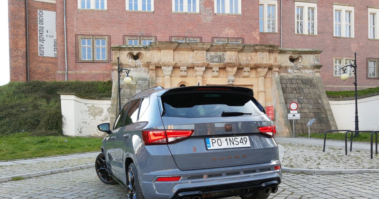 Cupra Ateca Limited Editon /INTERIA.PL