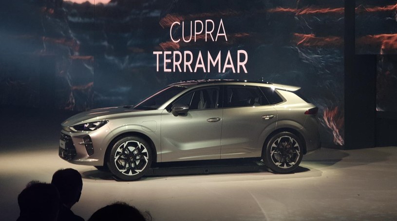 Cupra Terramar /Michał Domański /INTERIA.PL