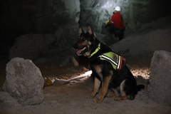 Ćwiczenia GOPR w kopalni Wieliczka