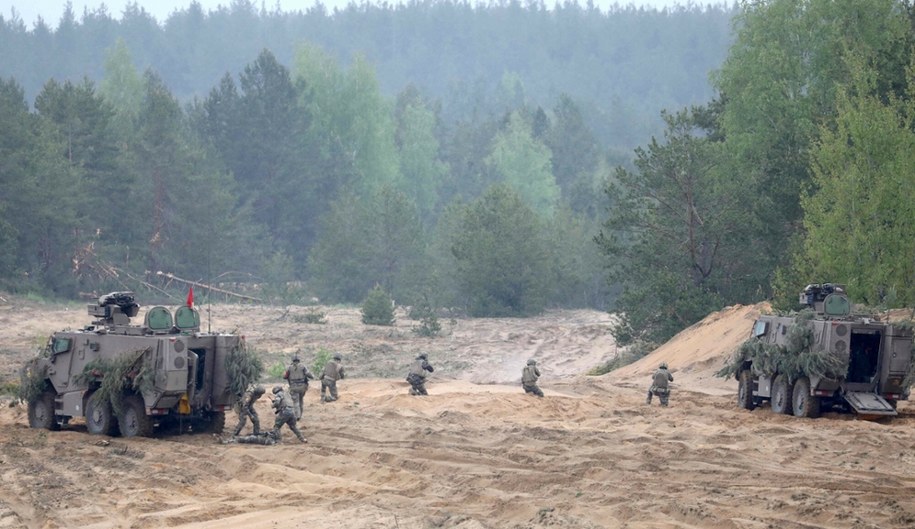 Ćwiczenia wojsk NATO na Litwie /Petras Malukas / AFP /East News