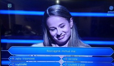 Ćwierć miliona złotych za wielkiego pająka. Zawodniczka pytała Urbańskiego