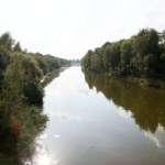 katastrofa ekologiczna Ćwierć tony martwych ryb. Najwyższy stopień zagrożenia w Kanale Gliwickim