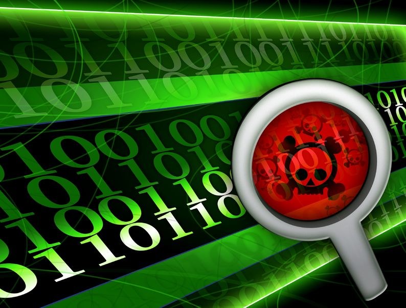 Cyberatak, o który oskarżany jest Sven Kamphuis spowolnił działanie sieci na całym świecie /123RF/PICSEL