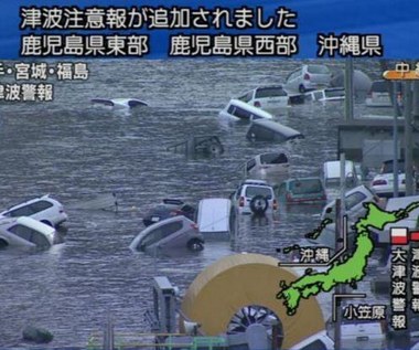 Cyberataki związane z trzęsieniem ziemi w Japonii