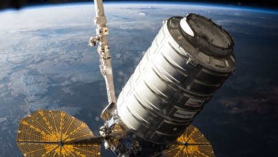 Cygnus zapłonie dwa razy