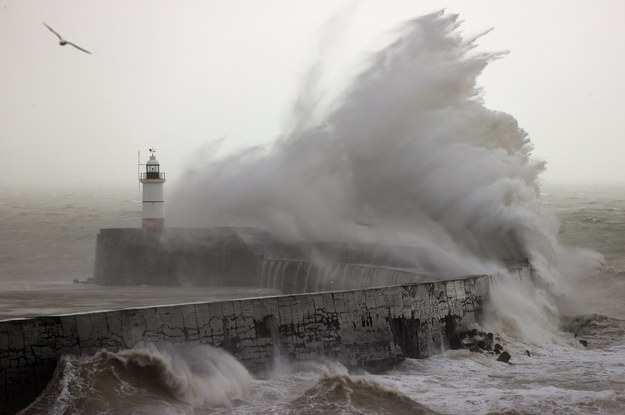 Cyklon Henk uderzył w Wielką Brytanię /ADRIAN DENNIS / AFP /East News