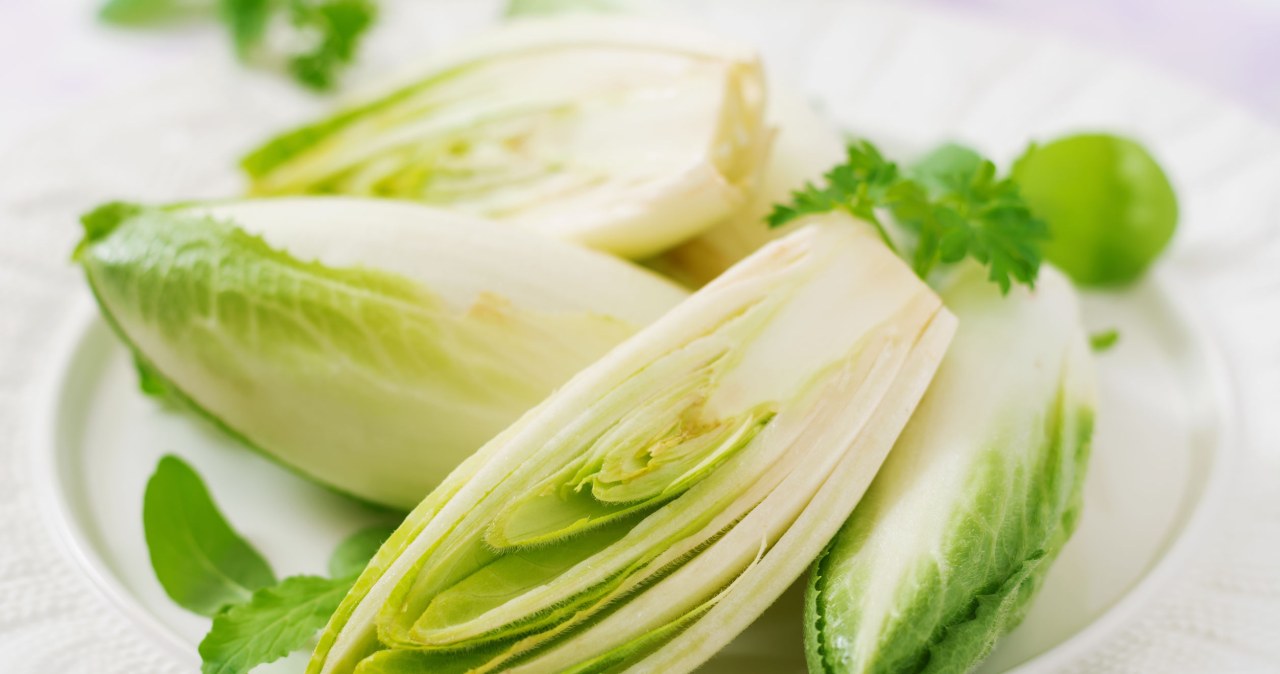 Cykoria jest znana ze swojego korzystnego wpływu na organizm. Sprawdź, jakie ma właściwości zdrowotne. /123RF/PICSEL