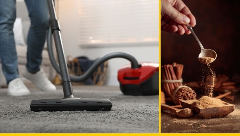 Cynamonowa rewolucja: Jak prosta przyprawa odświeży Twój dom /Shutterstock