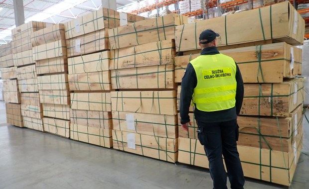 Cyrylica i sklejka brzozowa. Zaskakujące odkrycie w gdyńskim porcie