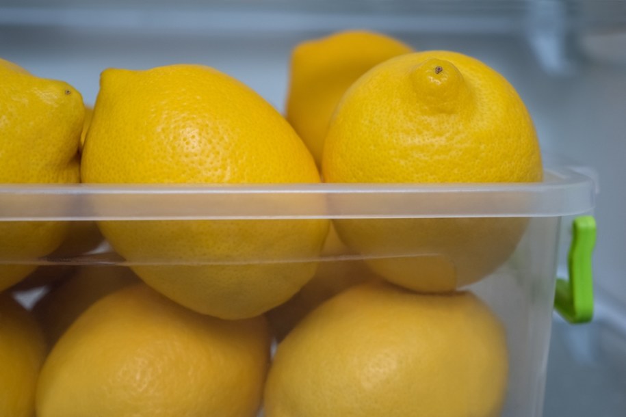 Cytryna w lodówce szybko się marszczy i traci jędrność /Shutterstock