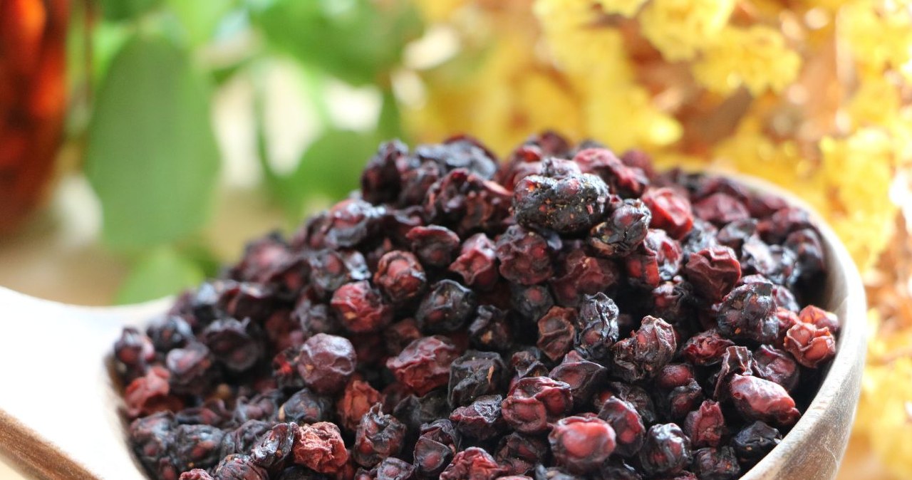 Cytryniec chiński (Schisandra chinensis) to pnącze z niewielkimi jagodami, które po ususzeniu można jeść np. z owsianką czy jogurtem. /unimode /Canva Pro