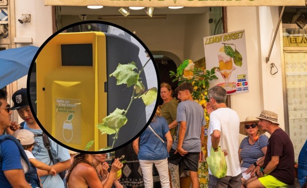 Cytrynowy sorbet – letni hit i śmieciowy koszmar. Tak poradzili sobie z problemem