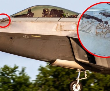 "Czapka niewidka" F-22 Raptor ujawniona. Wygląda jak korozja