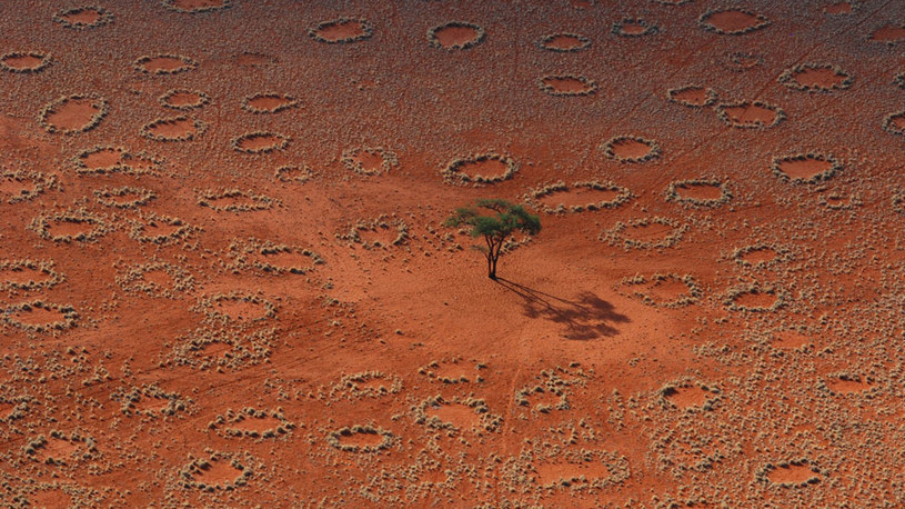 Czarcie Kręgi na pustyni Namib /AFP
