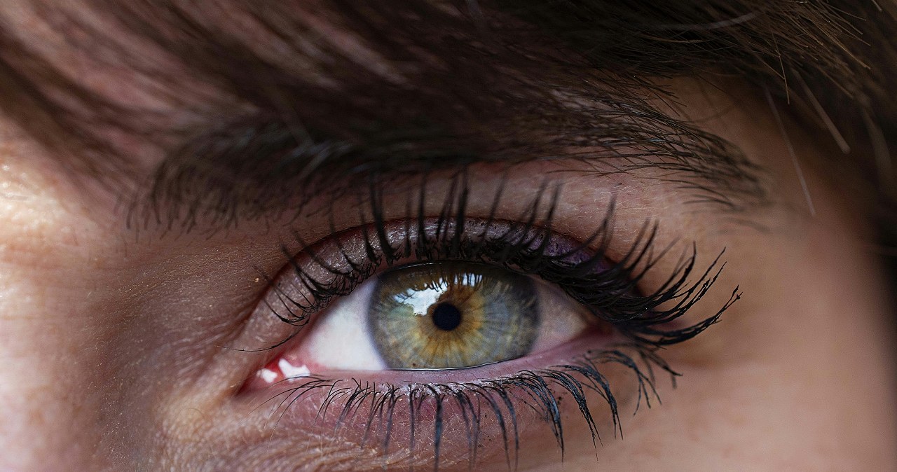 Czarna kreska dodaje niesamowity efekt zagęszczenia rzęs, nawet bez tuszu /Ali Camacho Adarve /pexels.com