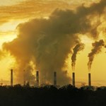 Czarna rozpacz: Węgiel na przegranej