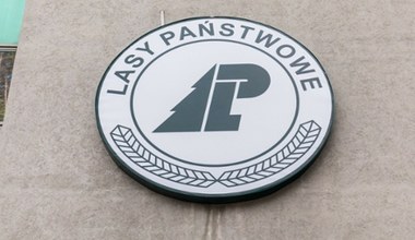 Czarne chmury nad Lasami Państwowymi. "Wątpliwe zatrudnienie" to czubek góry lodowej