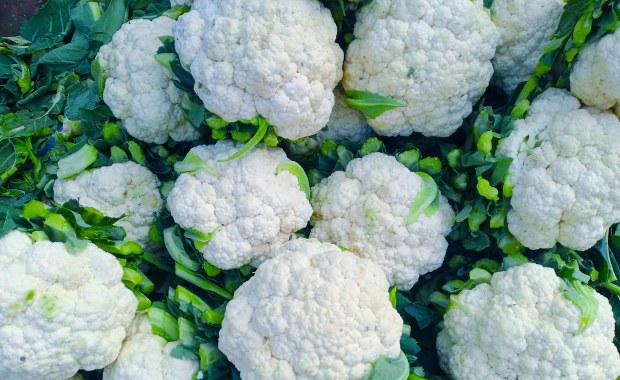 Czarne plamki na kalafiorze - jeść czy wyrzucić? Eksperci rozwiewają wątpliwości 