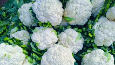Czarne plamki na kalafiorze - jeść czy wyrzucić? Eksperci rozwiewają wątpliwości 