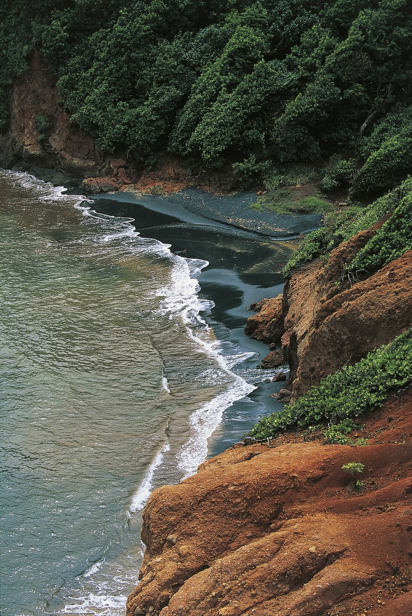 Czarne plaże to częsty widok na Dominice / DeAgostini /Getty Images
