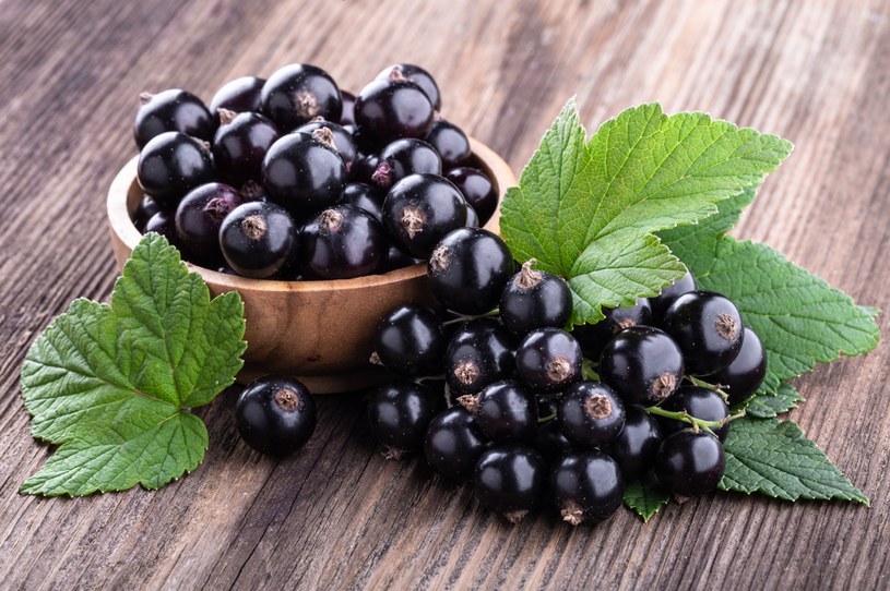 Czarne porzeczki są owocami o dużej wartości zdrowotnej przy jednocześnie niskiej wartości kalorycznej i niskim indeksie glikemicznym. /123RF/PICSEL