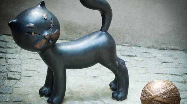 Czarny kot Bonifacy stanął przed wejściem do Muzeum Kinematografii /PAP
