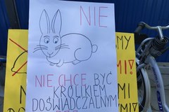 Czarny protest transplantacji przed Sejmem