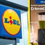 Czas na witaminy. Blendery w Lidlu nawet 50% taniej