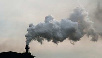 Czas odetchnąć „Czystym Powietrzem”. Nowa odsłona programu