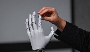 Czas się obudzić. "Polska w ogonie Europy, Europa w ogonie świata"